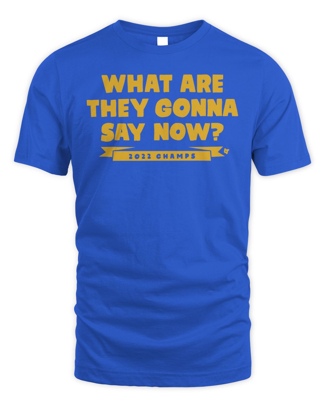 What Are They Gonna Say Now Shirt